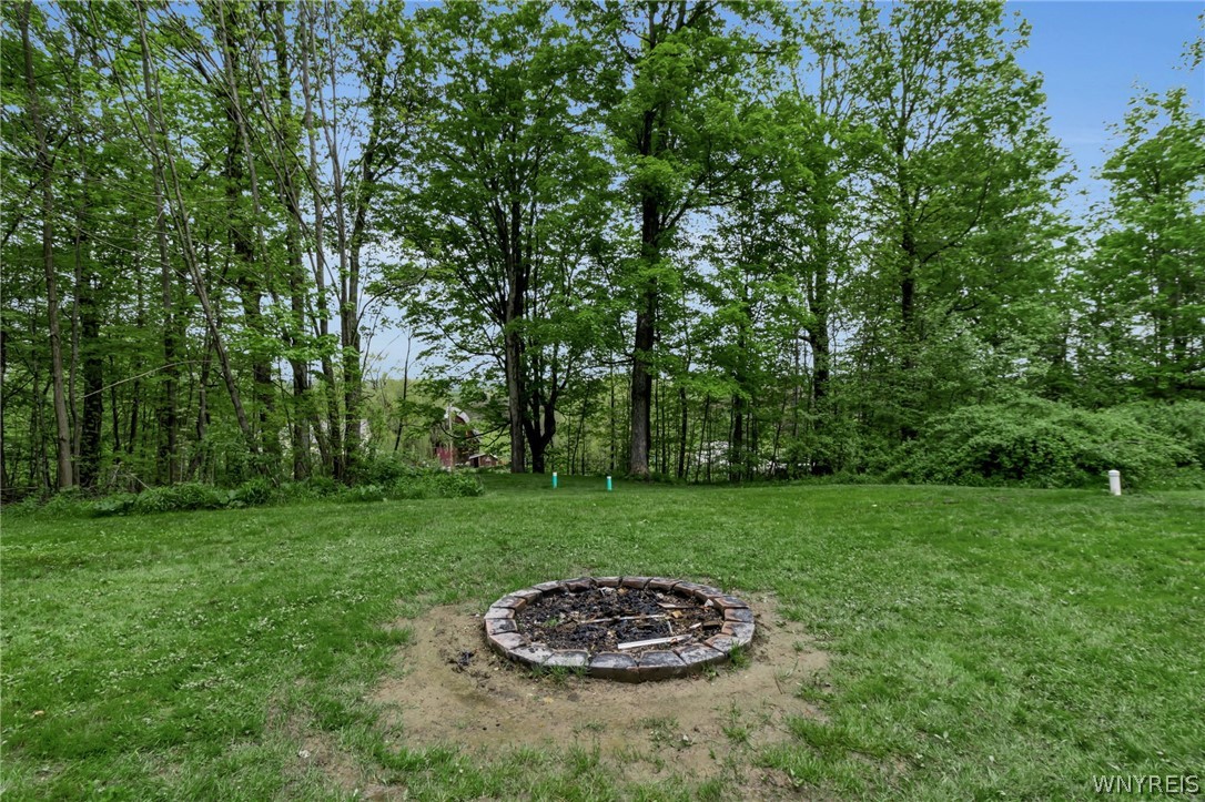 10588 Edies Road Springville, NY 14141 - Photo 12 of 49