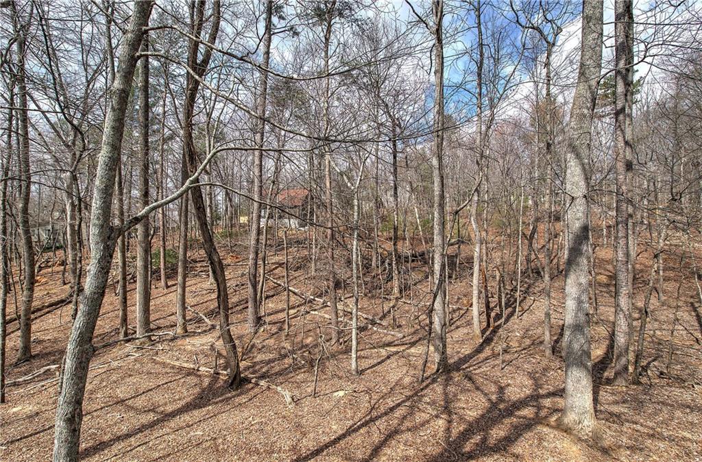 30 Tamarack Court Jasper, GA 30143 - Photo 27 of 70