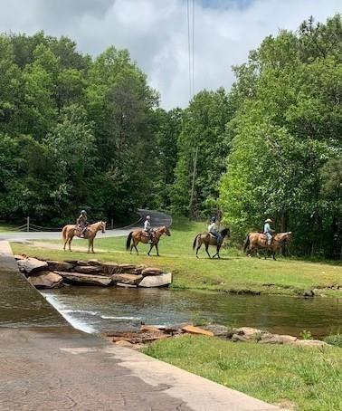 30 Tamarack Court Jasper, GA 30143 - Photo 69 of 70