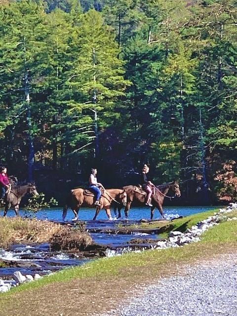 30 Tamarack Court Jasper, GA 30143 - Photo 70 of 70