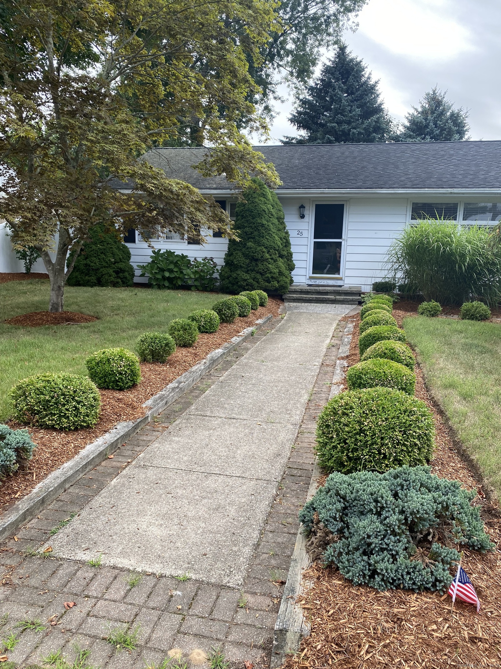 a view of a garden with pathway