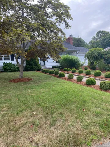 a view of a garden with houses