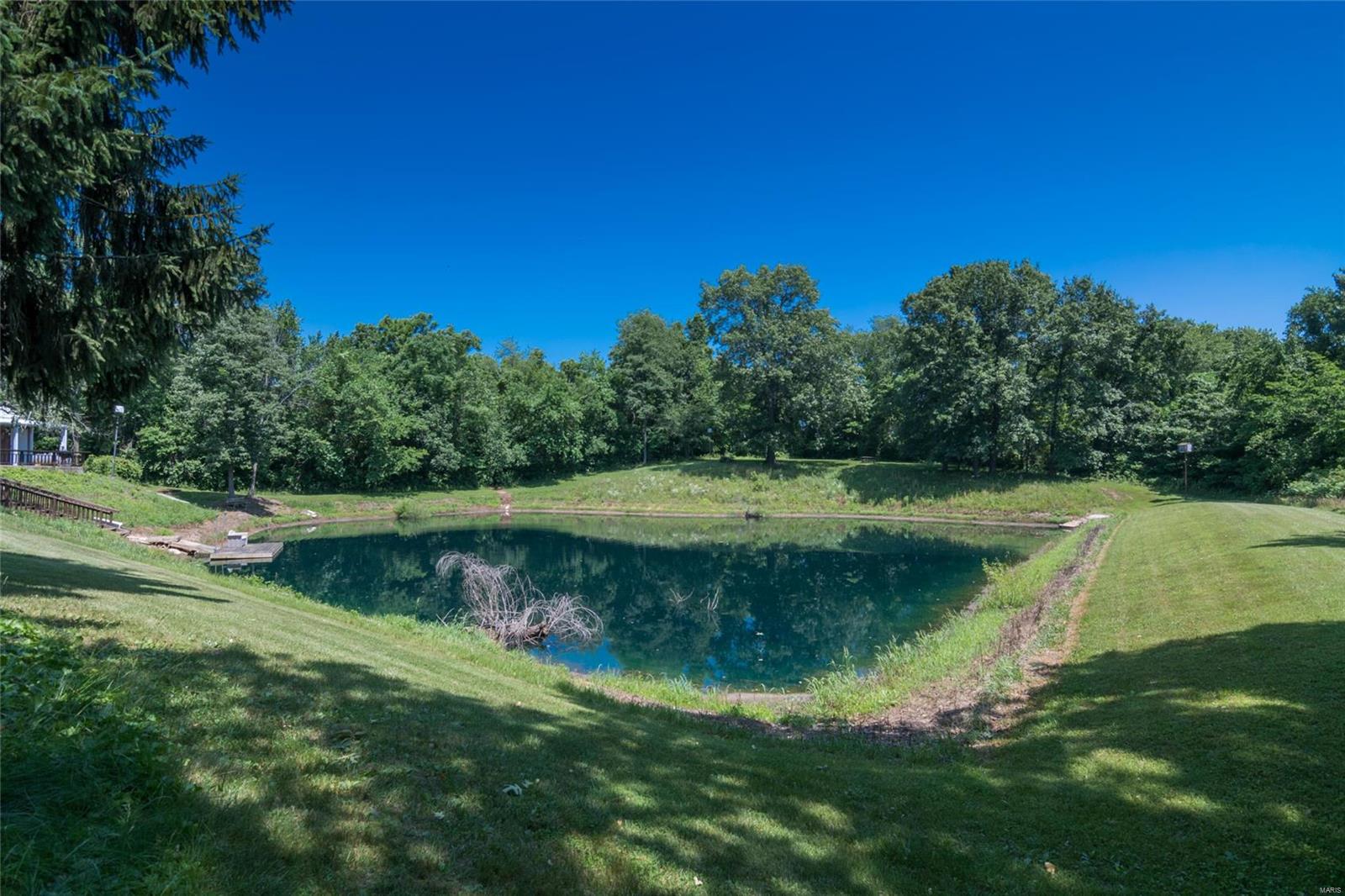 4484 Titchenal Road Brighton, IL 62012 - Photo 8 of 29