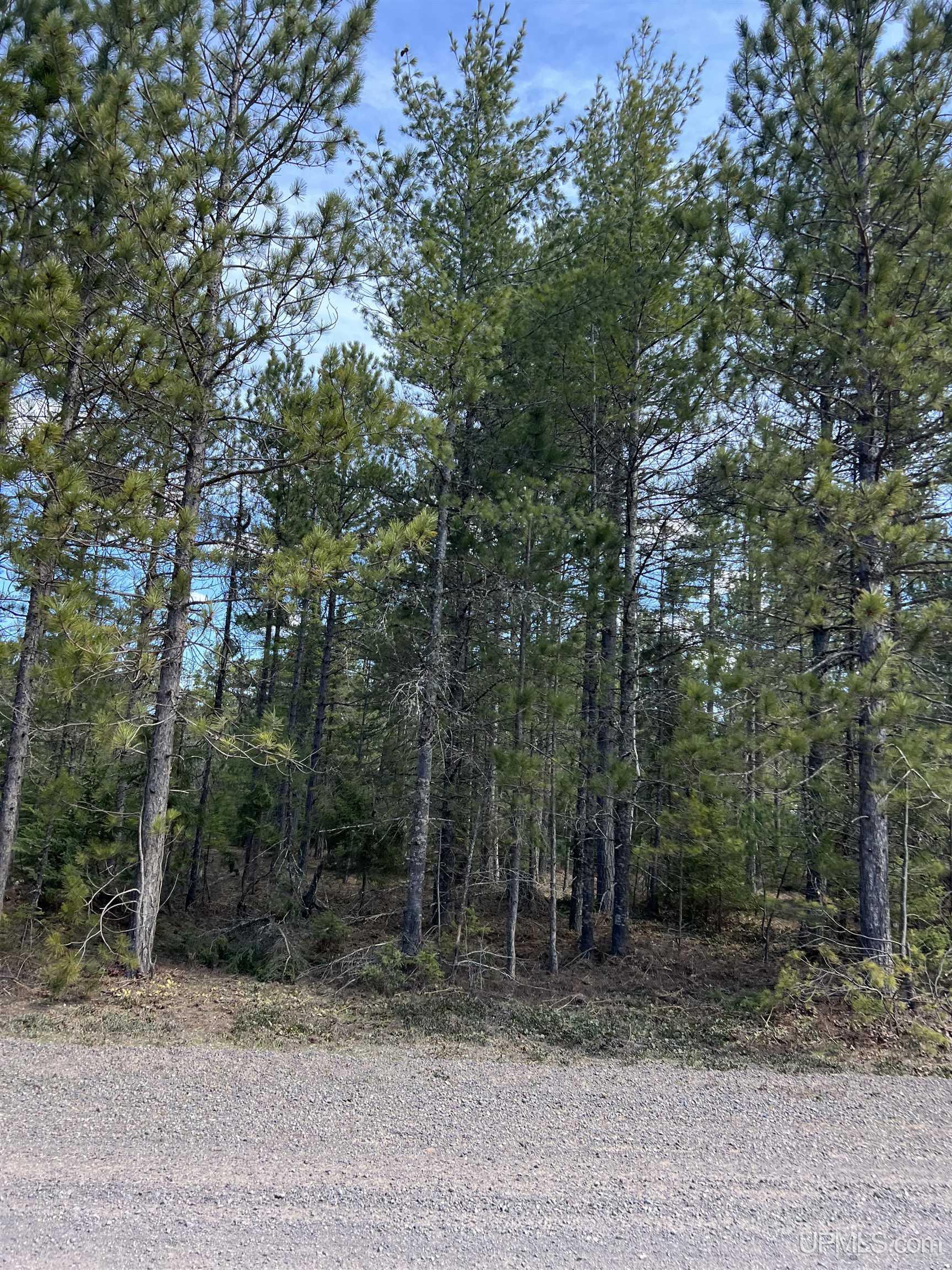 50428 Louis Point Road Lake Linden, MI 49945 - Photo 18 of 46