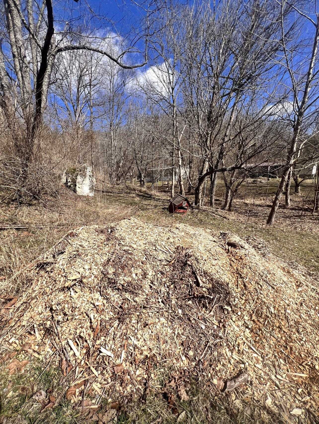 4369 Rush Hollow Road Ona, WV 25545 - Photo 24 of 25