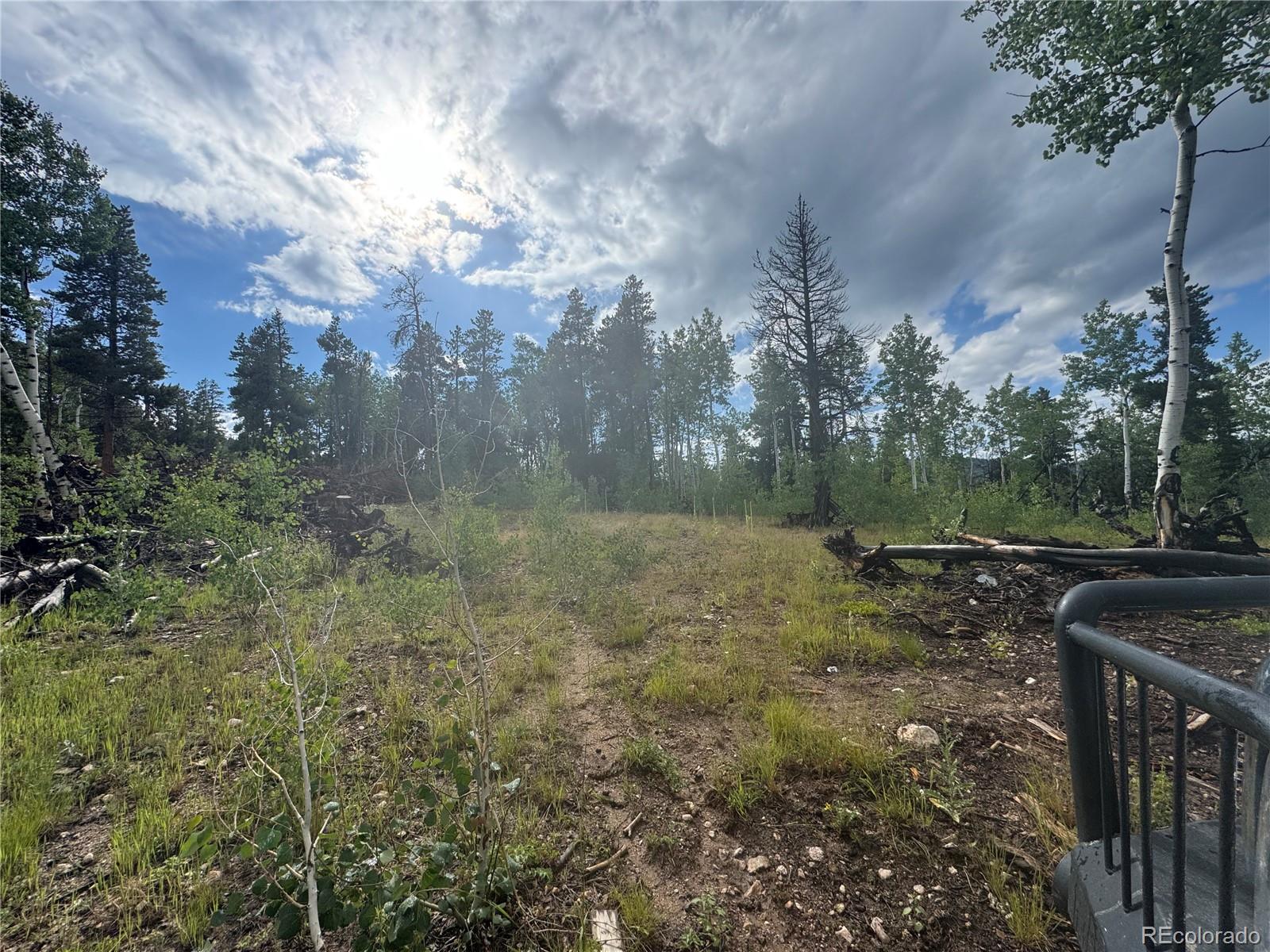 1 Church Placer Road Central City, CO 80427 - Photo 2 of 11 a view of a yard