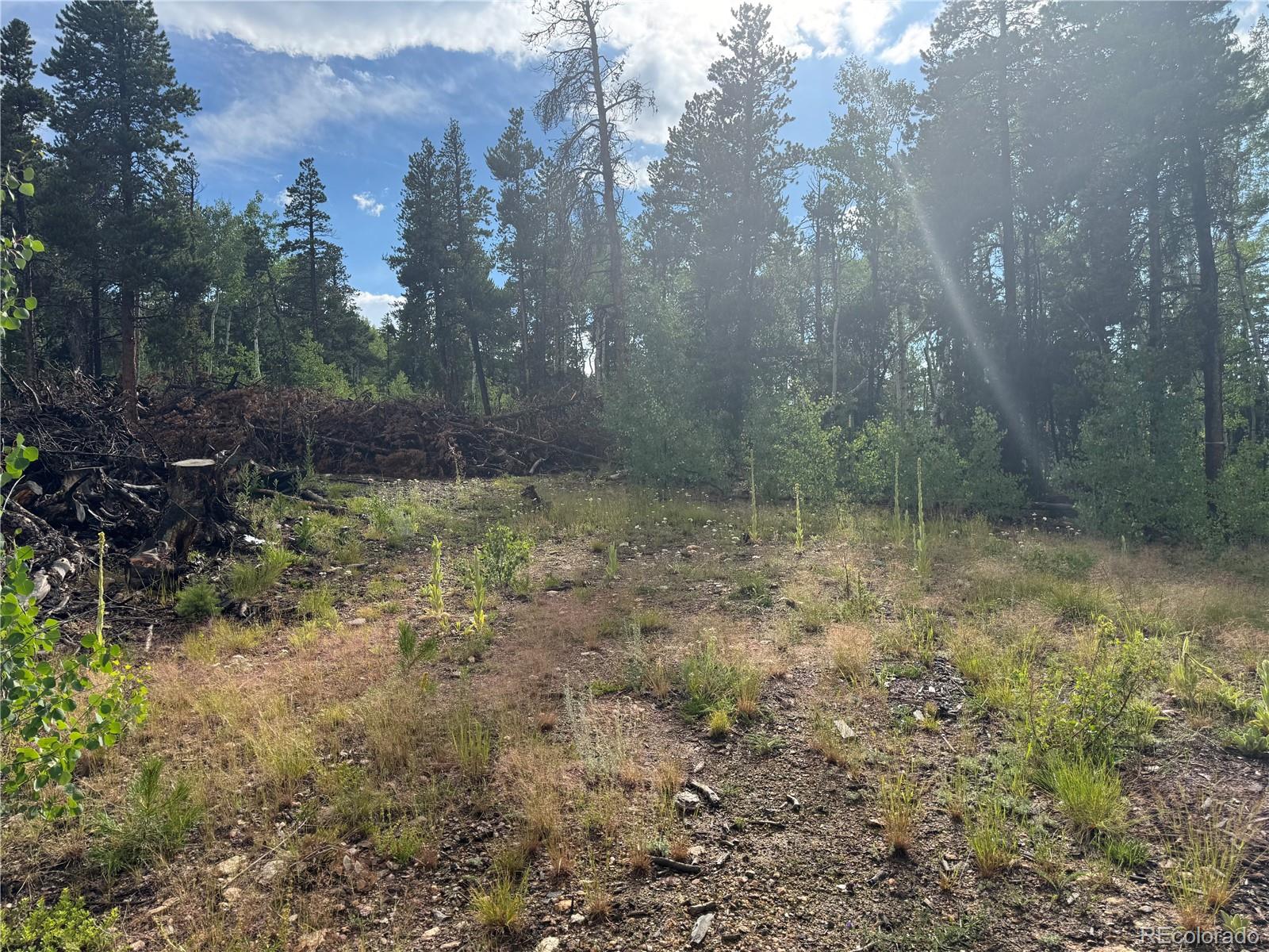 1 Church Placer Road Central City, CO 80427 - Photo 3 of 11 a view of a dry yard