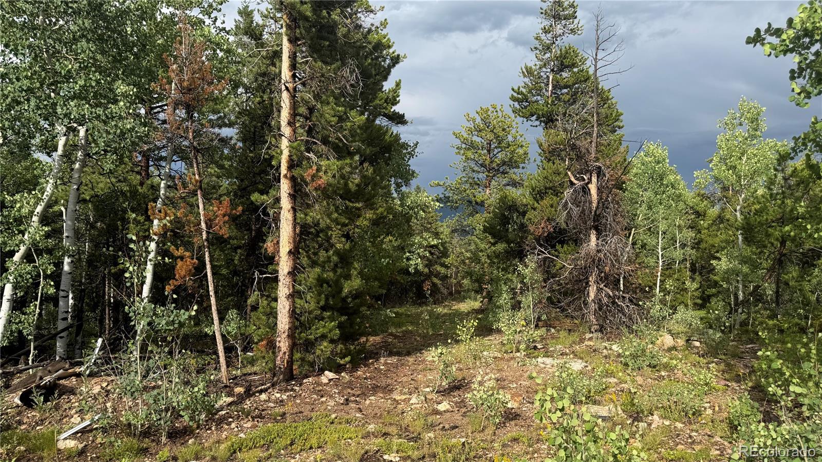 1 Church Placer Road Central City, CO 80427 - Photo 5 of 11 view of an outdoor space