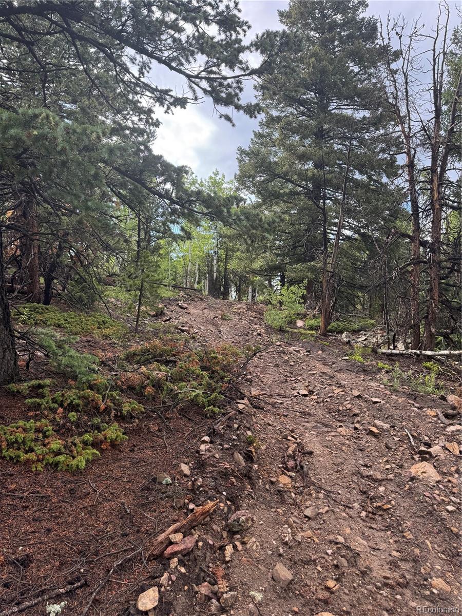 1 Church Placer Road Central City, CO 80427 - Photo 10 of 11 a view of a yard