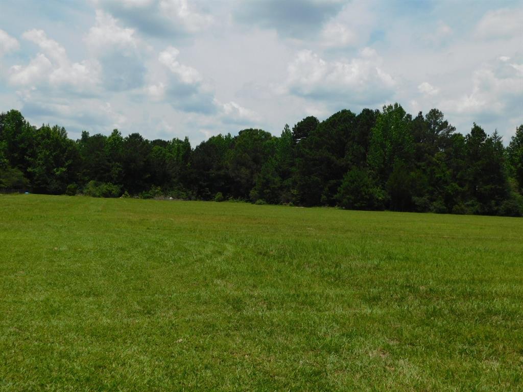 555 Thomasville Road Sarepta, LA 71071 - Photo 3 of 40