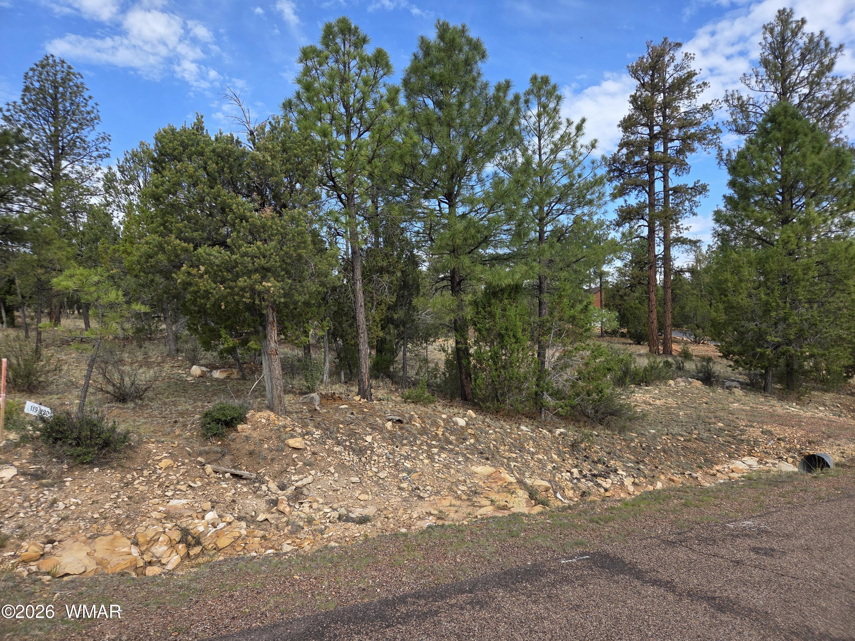 3332 Sawmill Ridge Loop Heber, AZ 85928 - Photo 2 of 12