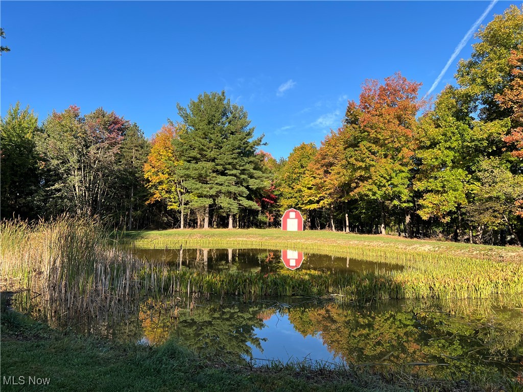 19294 Howe Road Strongsville, OH 44136 - Photo 4 of 29 Just shy of 4 acres with woods and pond setting