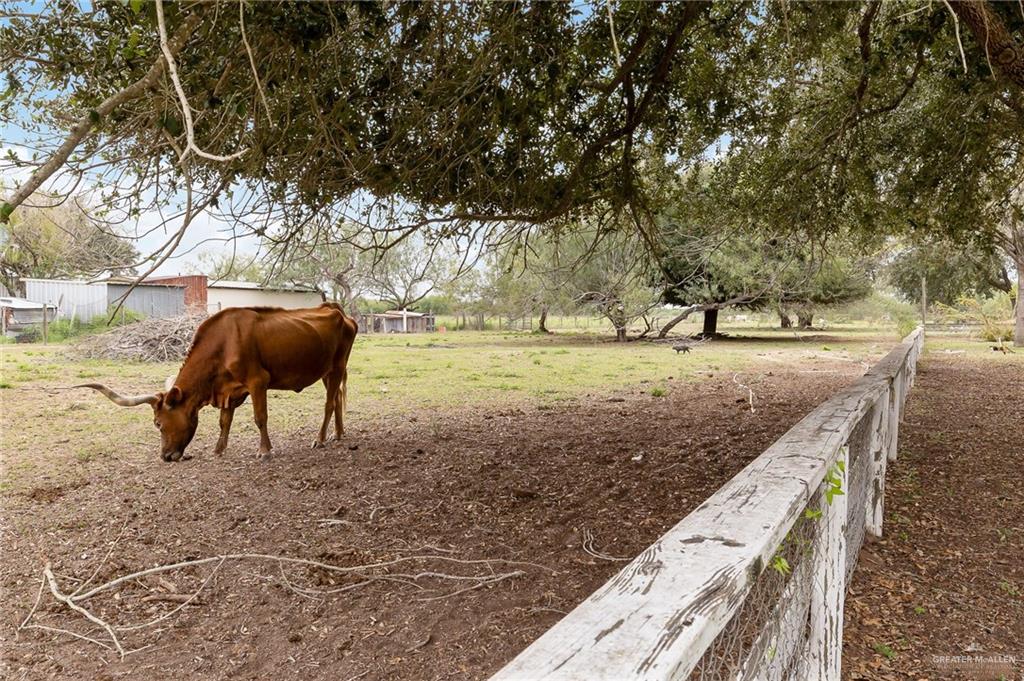 23725 North Val Verde Road Edinburg, TX 78542 - Photo 4 of 38 Livestock negotiable