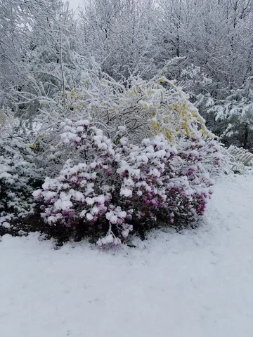 $660,000 | 693 Goding Road, Acton, ME 04001