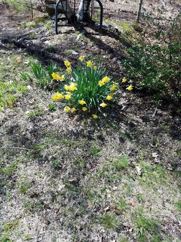 $660,000 | 693 Goding Road, Acton, ME 04001