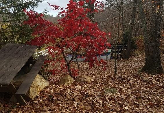 693 Goding Road Acton, ME 04001 - Photo 37 of 47 20221106_093928_resized