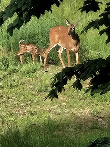 $660,000 | 693 Goding Road, Acton, ME 04001