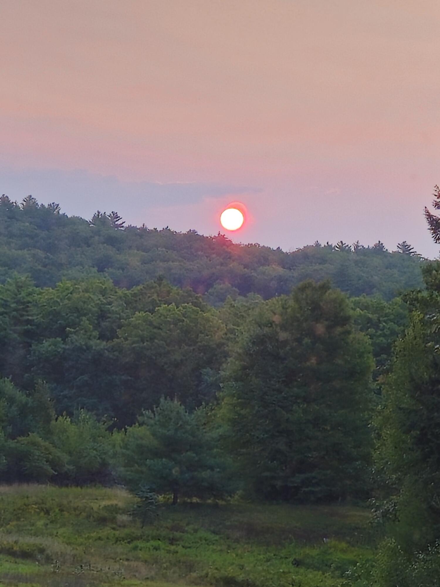 693 Goding Road Acton, ME 04001 - Photo 39 of 47 20240814_060907_resized