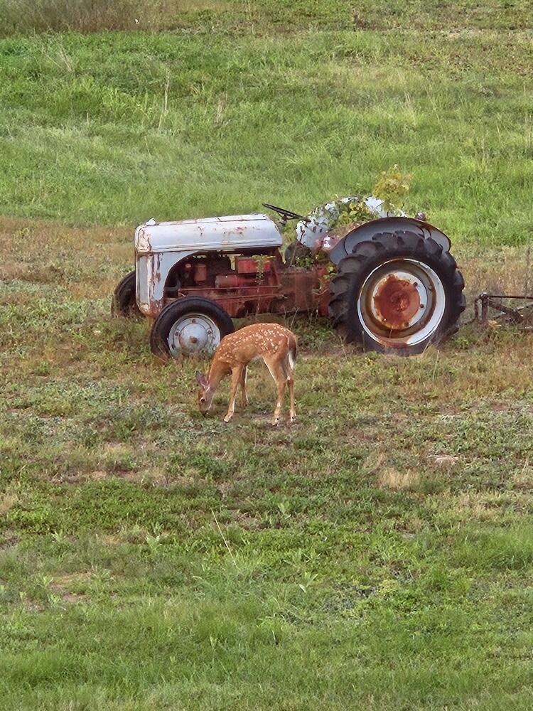 693 Goding Road Acton, ME 04001 - Photo 40 of 47 20240906_184715_resized_1