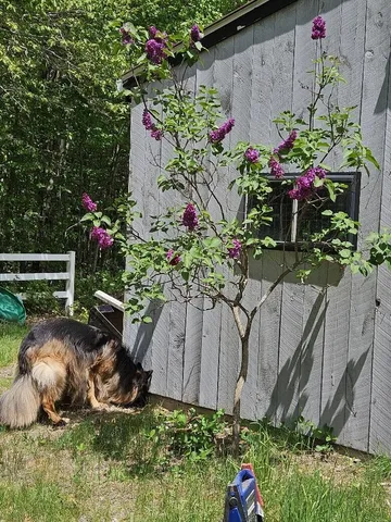 $660,000 | 693 Goding Road, Acton, ME 04001