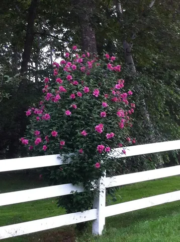 $660,000 | 693 Goding Road, Acton, ME 04001