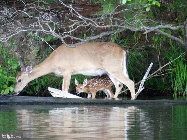 $329,000 | 100 Greenbriar Circle, Cross Junction, VA 22625