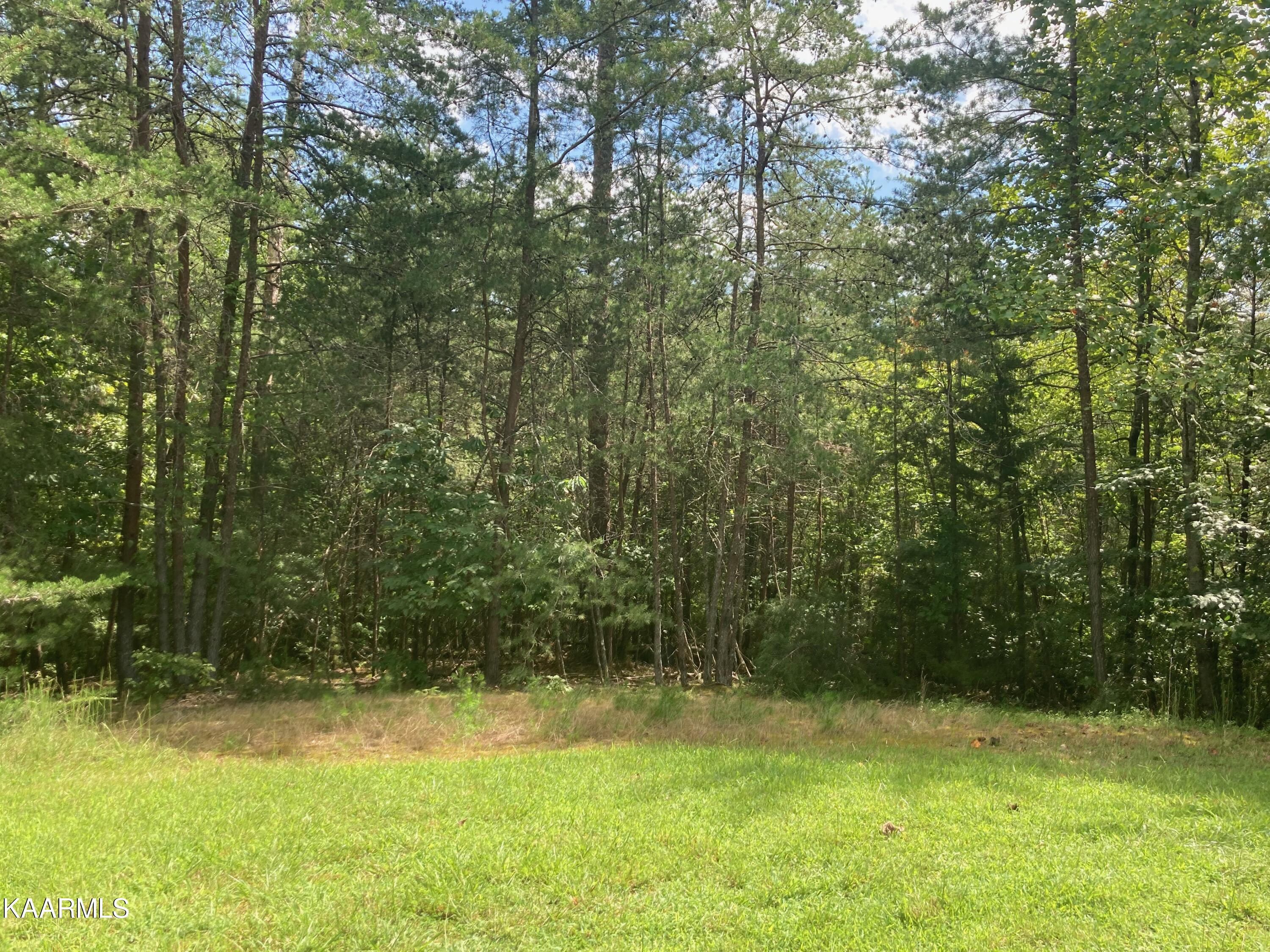 16 &17 Road Washburn, TN 37888 - Photo 1 of 6 Lot 16 pic q