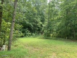 16 &17 Road Washburn, TN 37888 - Photo 2 of 6 image4