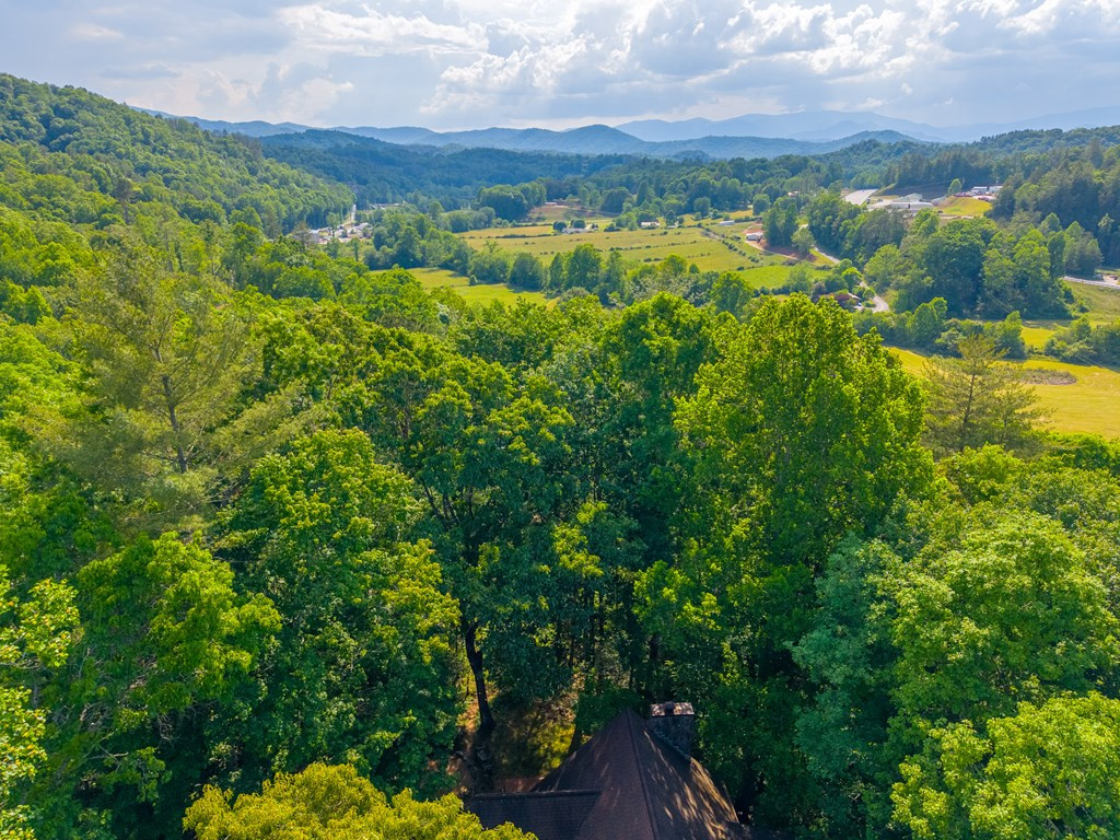 171 High Splendor Drive Robbinsville, NC 28771 - Photo 58 of 62