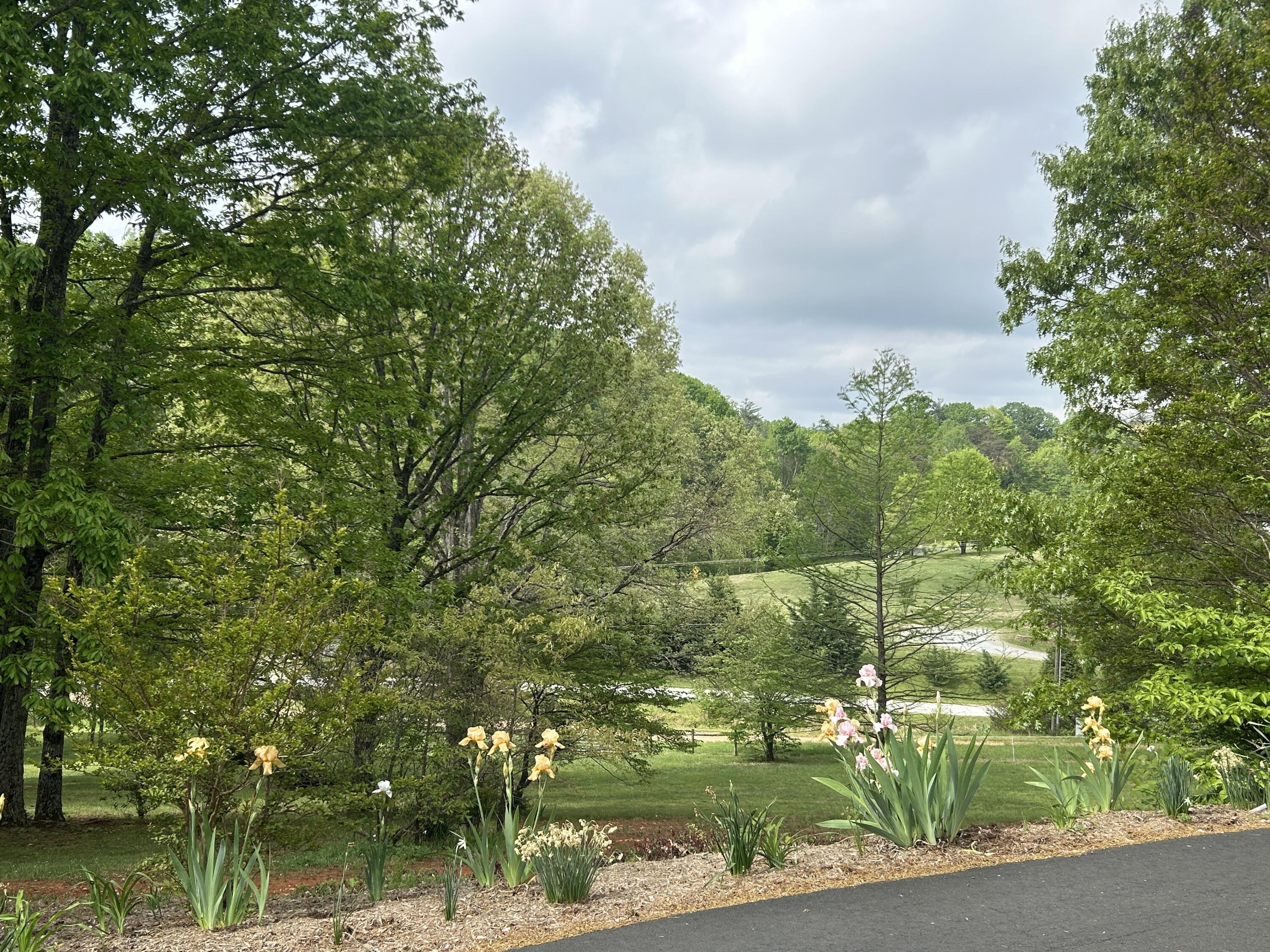 5531 Bethlehem Road Boones Mill, VA 24065 - Photo 32 of 69 IMG_1447
