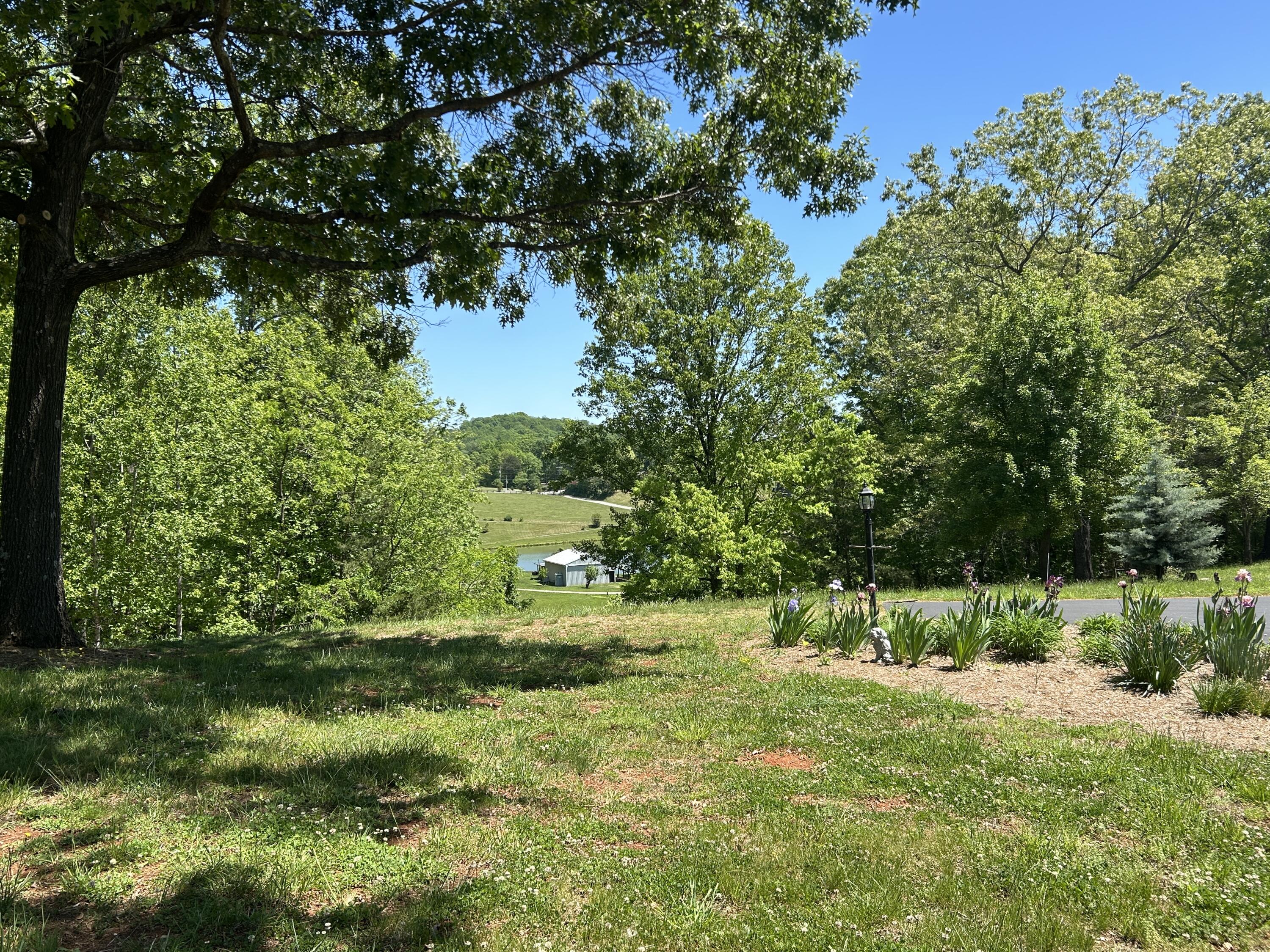 5531 Bethlehem Road Boones Mill, VA 24065 - Photo 37 of 69 IMG_1575