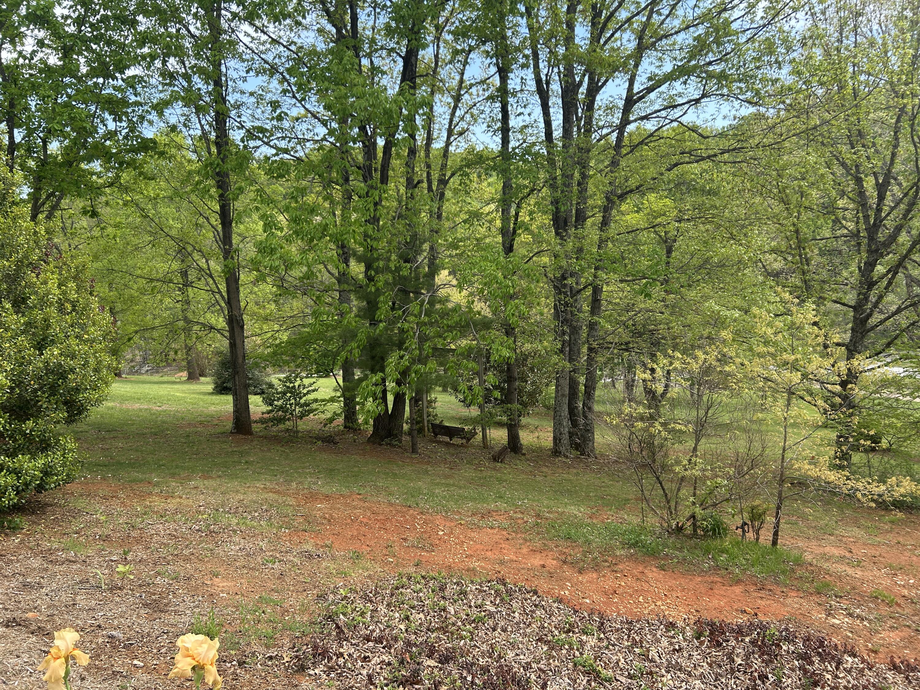 5531 Bethlehem Road Boones Mill, VA 24065 - Photo 38 of 69 IMG_1305