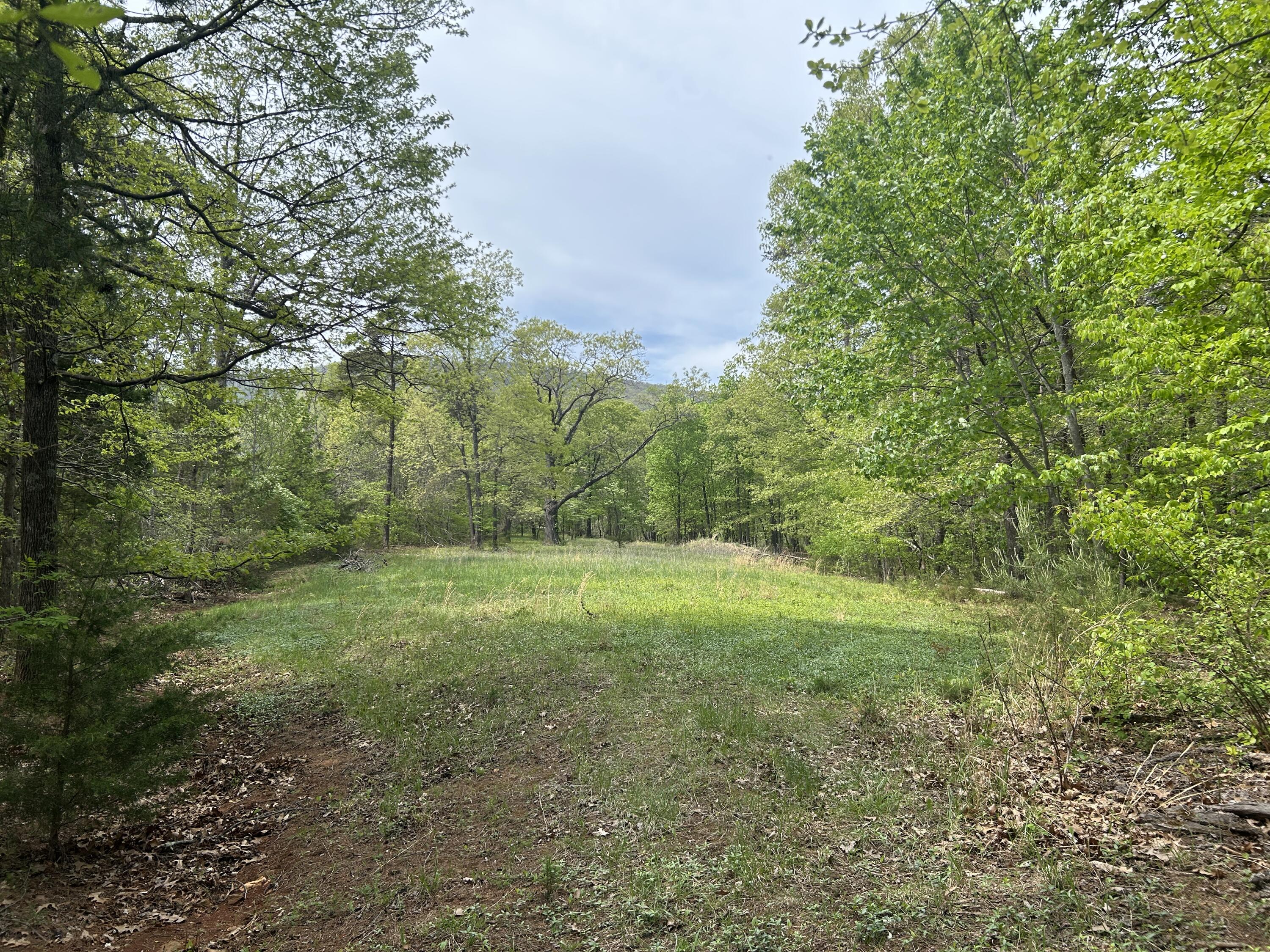 5531 Bethlehem Road Boones Mill, VA 24065 - Photo 44 of 69 IMG_1243