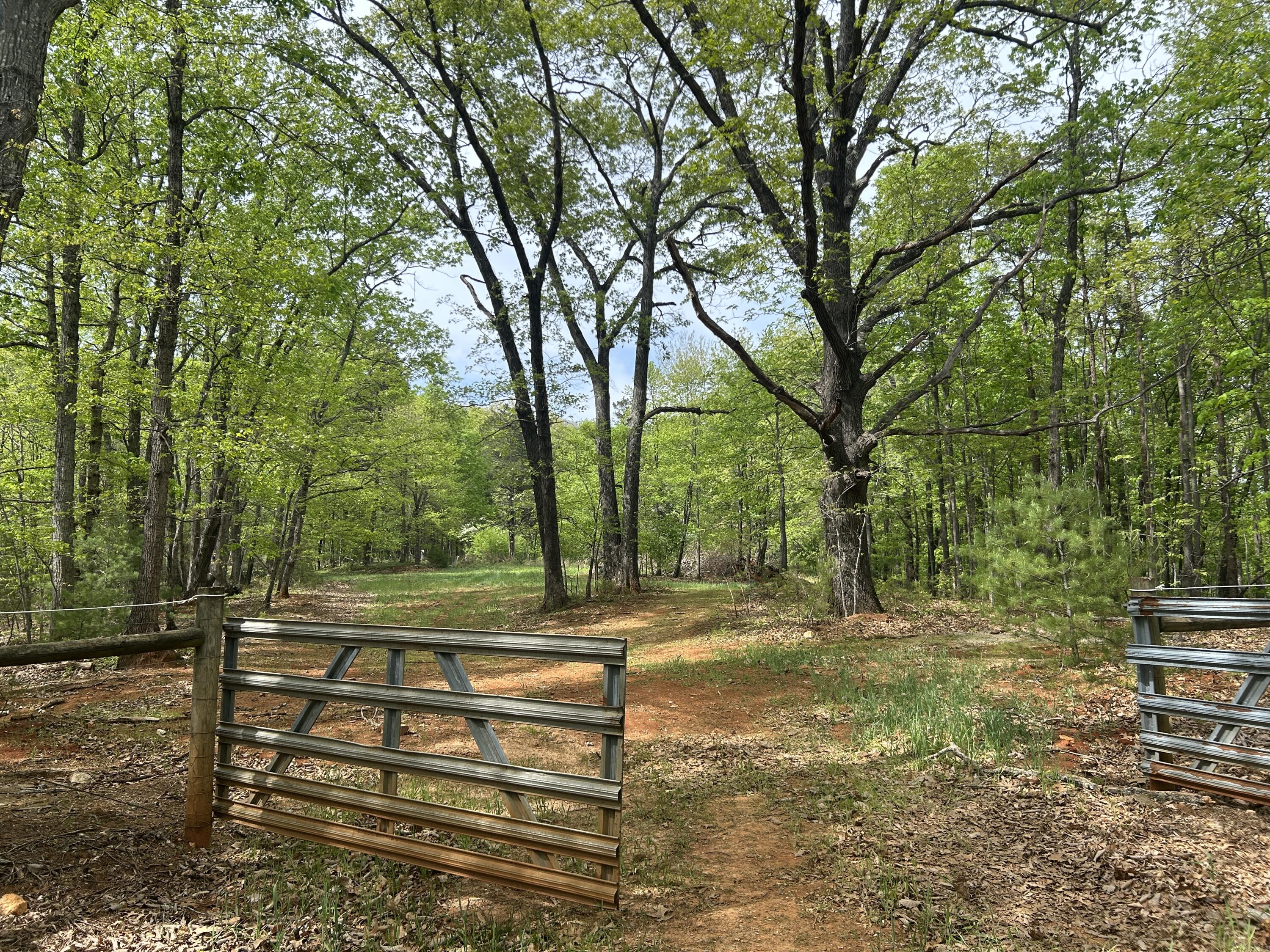 5531 Bethlehem Road Boones Mill, VA 24065 - Photo 46 of 69 IMG_1283