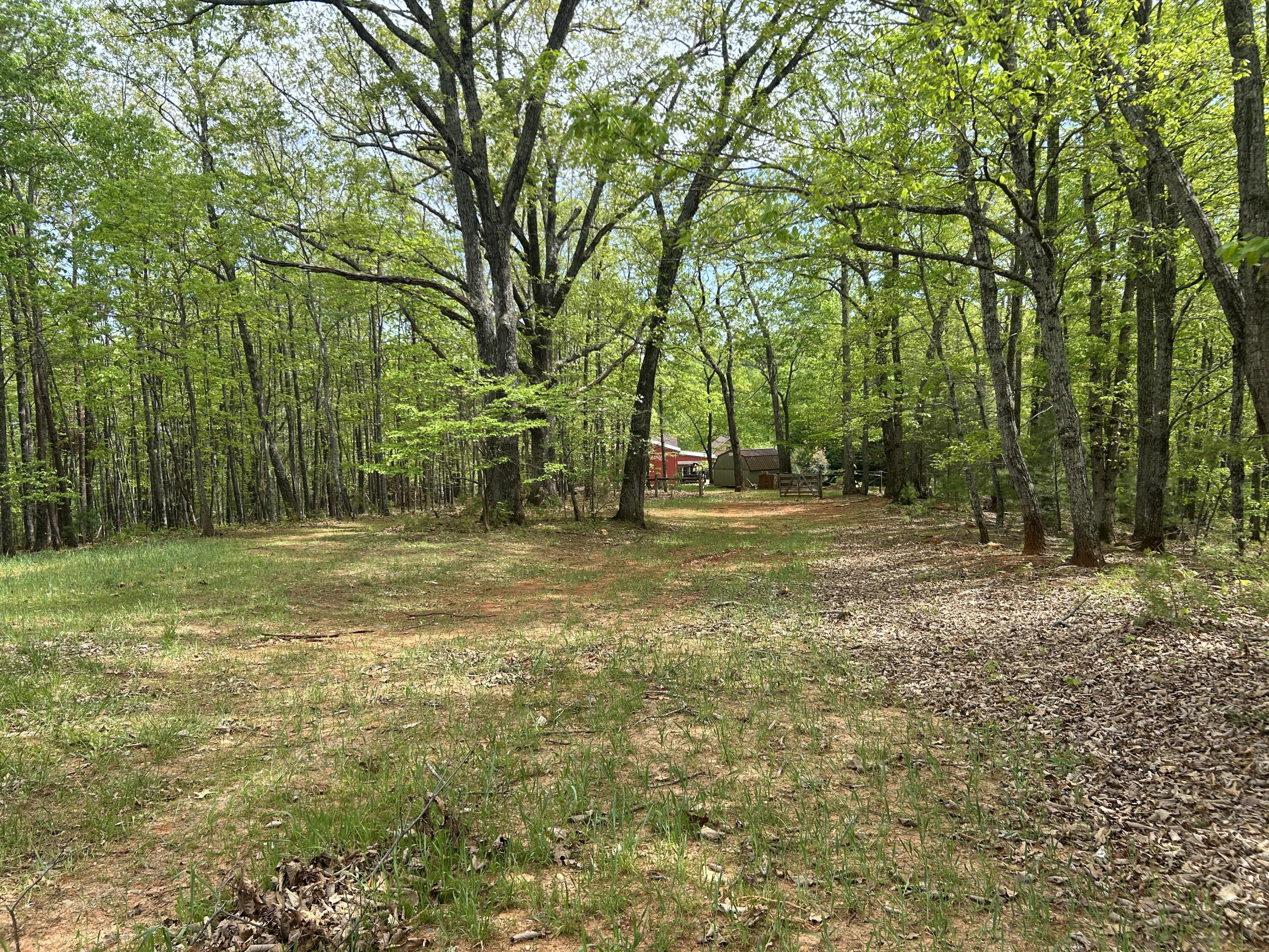 5531 Bethlehem Road Boones Mill, VA 24065 - Photo 47 of 69 IMG_1279
