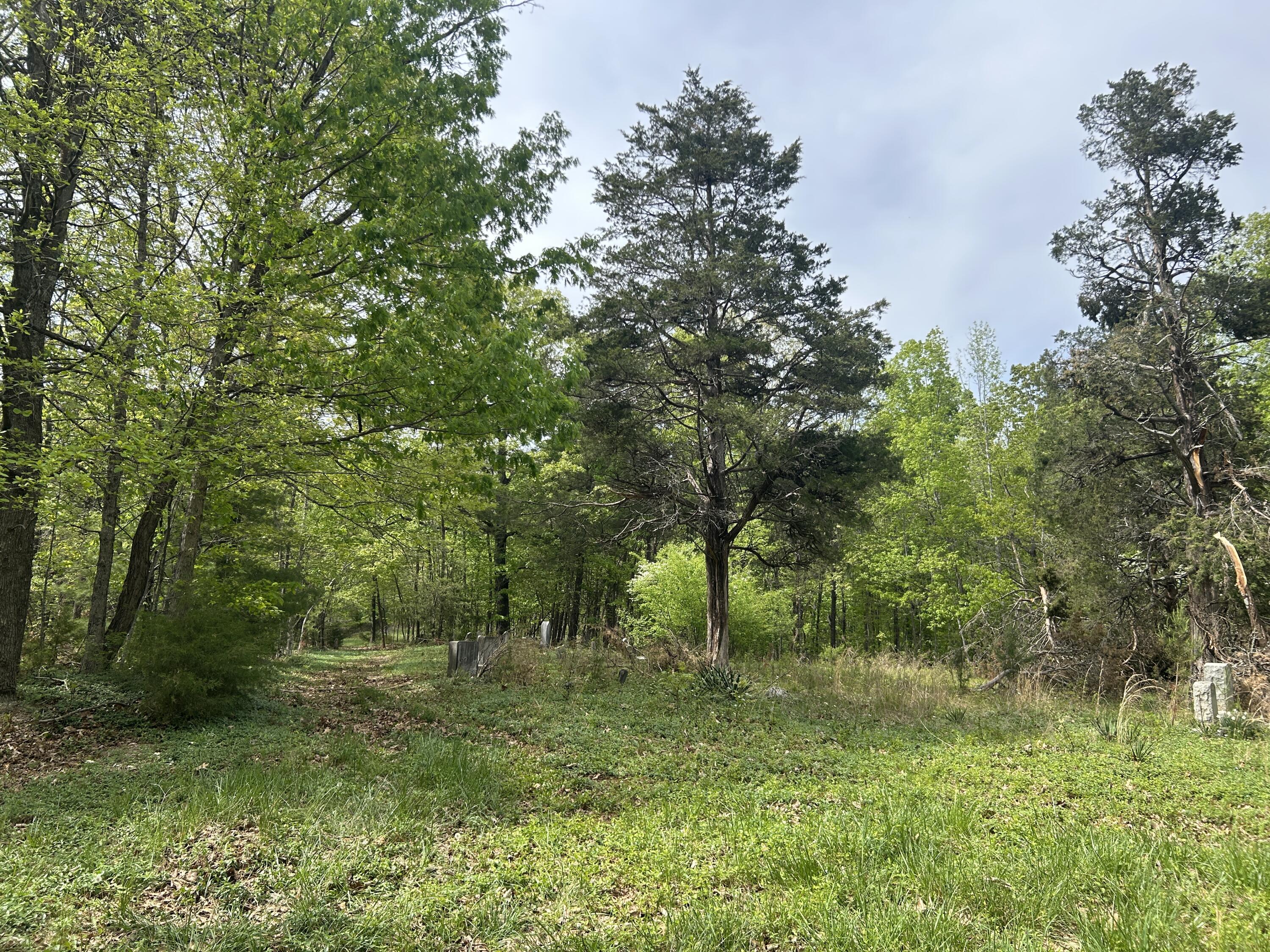5531 Bethlehem Road Boones Mill, VA 24065 - Photo 48 of 69 a big yard with lots of green space and deers