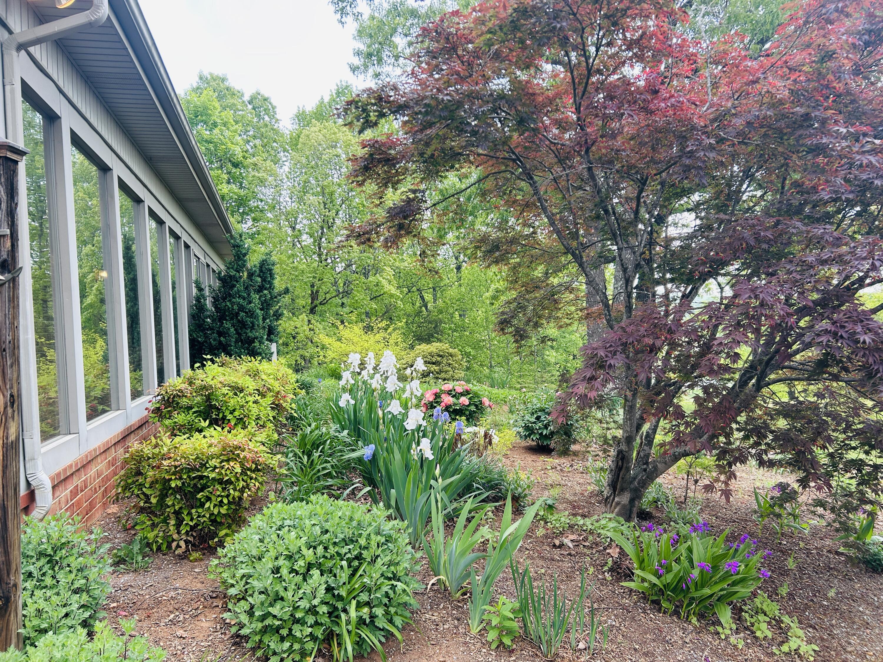 5531 Bethlehem Road Boones Mill, VA 24065 - Photo 63 of 69 IMG_1445