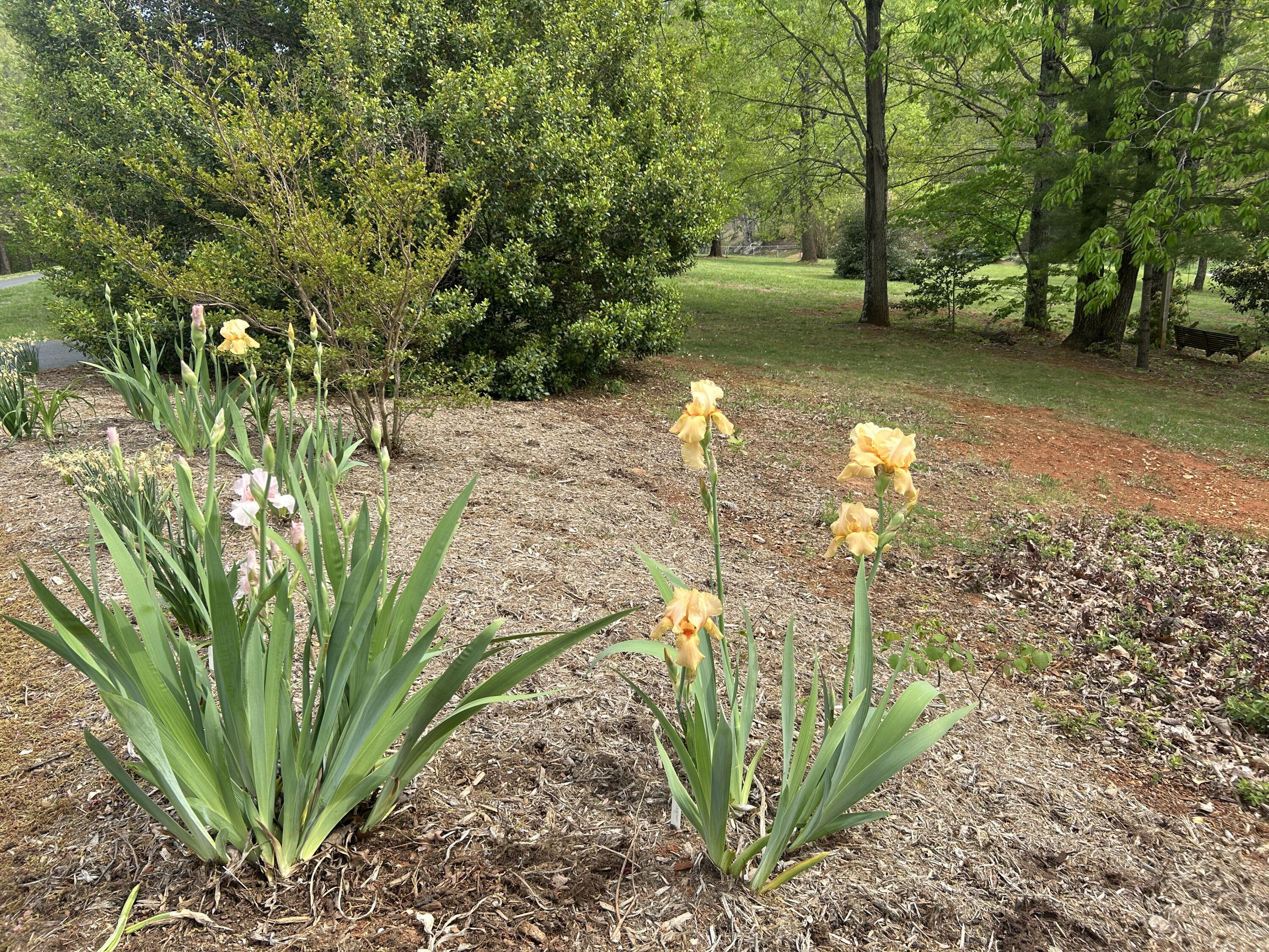 5531 Bethlehem Road Boones Mill, VA 24065 - Photo 66 of 69 IMG_1304