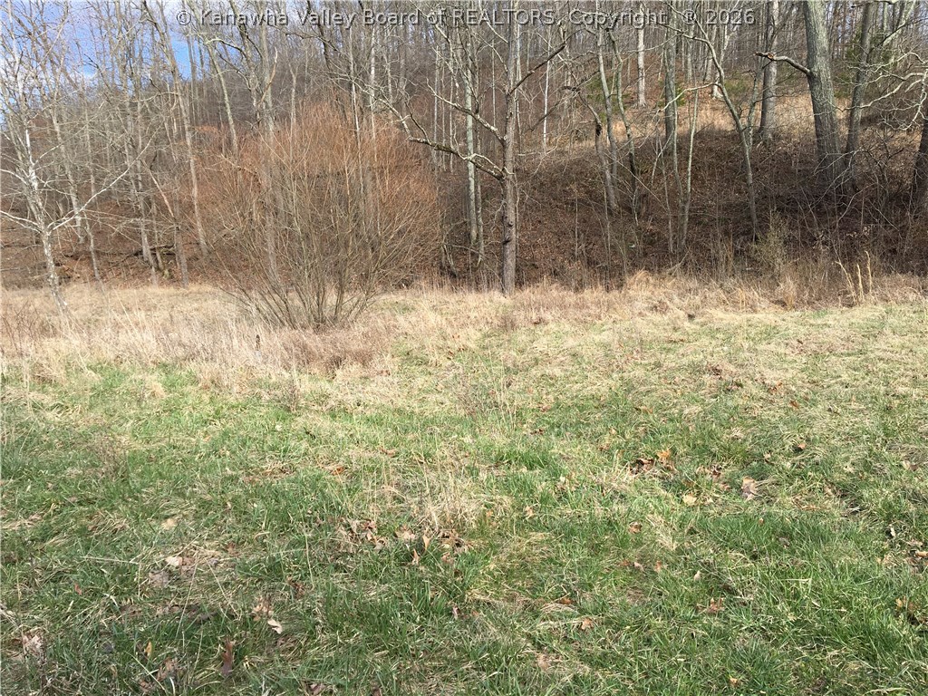 0 Pleasant Valley Road Given, WV 25245 - Photo 1 of 2 Gallery Image 1
