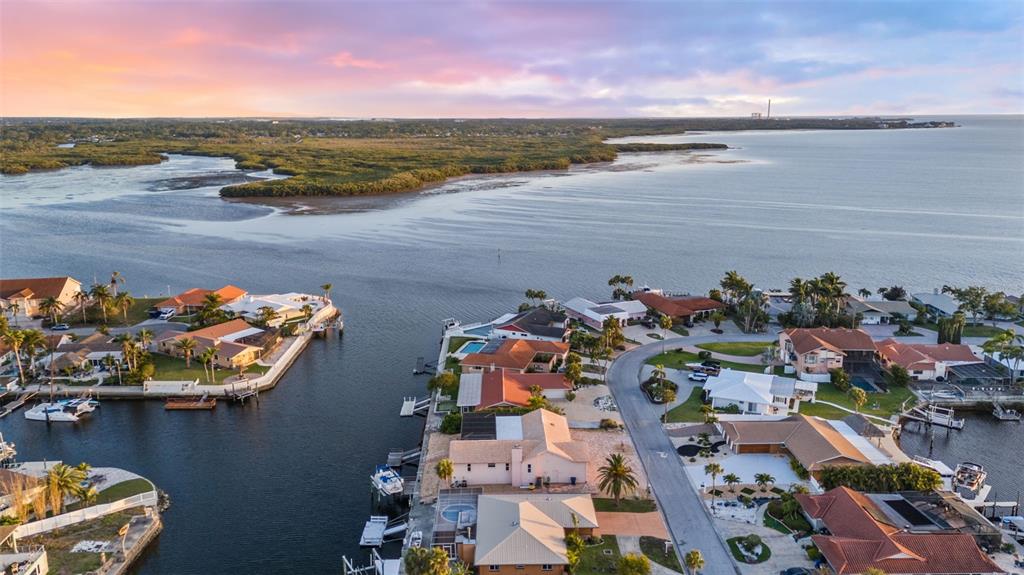 3711 Floramar Terrace New Port Richey, FL 34652 - Photo 44 of 84