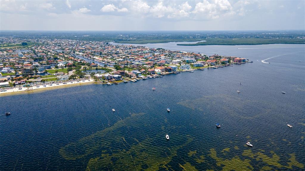 3711 Floramar Terrace New Port Richey, FL 34652 - Photo 64 of 84