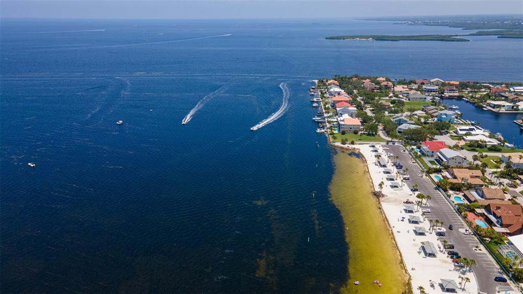 3711 Floramar Terrace New Port Richey, FL 34652 - Photo 68 of 84