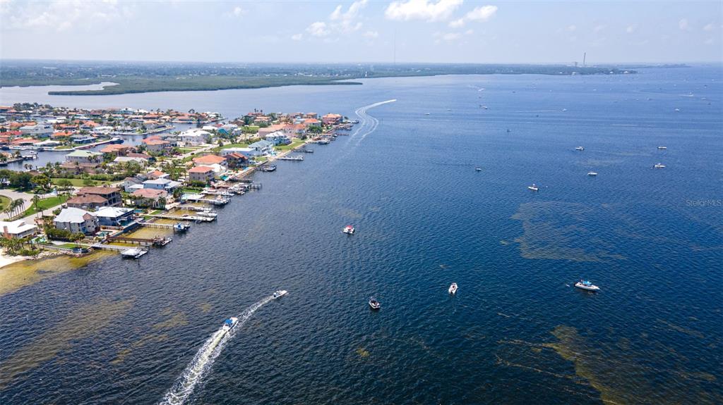 3711 Floramar Terrace New Port Richey, FL 34652 - Photo 71 of 84