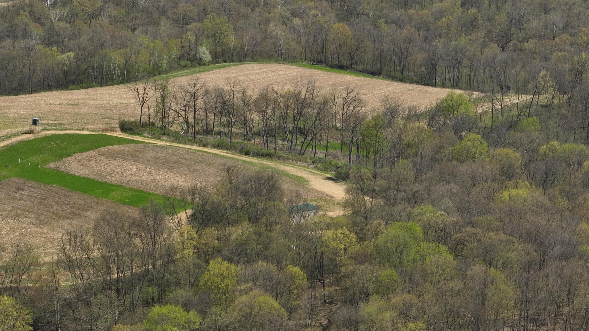 23958 Brown Ridge Road Boscobel, WI 53805 - Photo 32 of 90