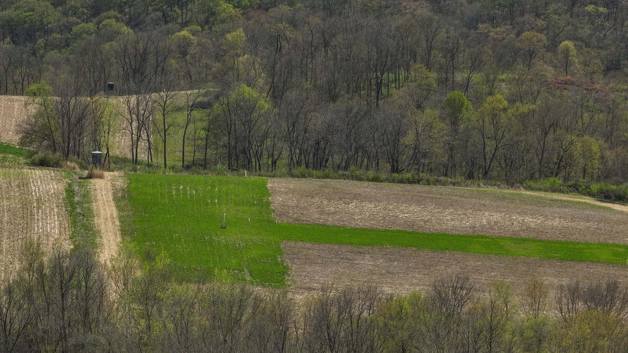 23958 Brown Ridge Road Boscobel, WI 53805 - Photo 33 of 90