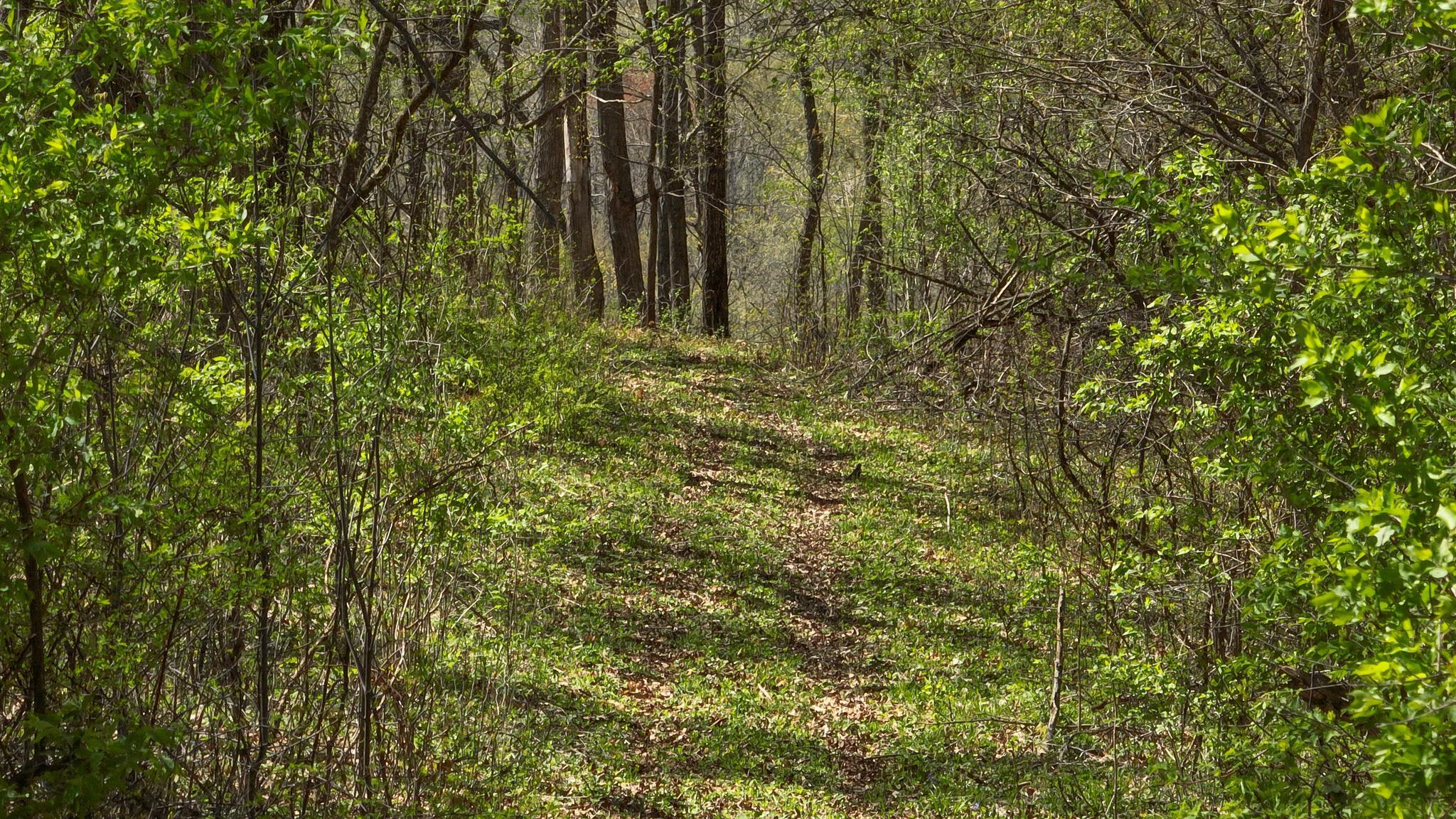 23958 Brown Ridge Road Boscobel, WI 53805 - Photo 35 of 90
