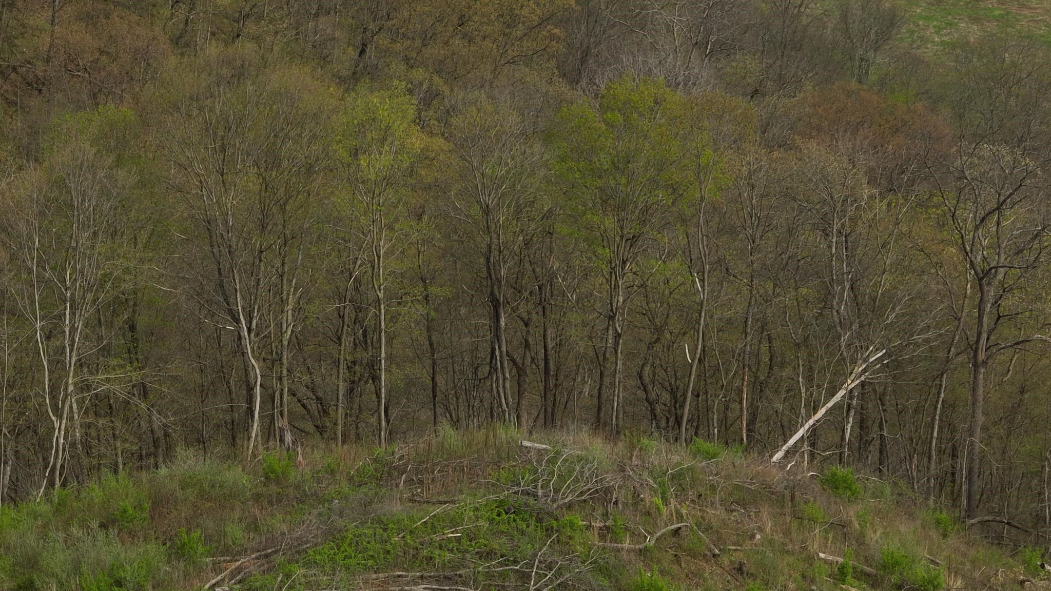 23958 Brown Ridge Road Boscobel, WI 53805 - Photo 41 of 90
