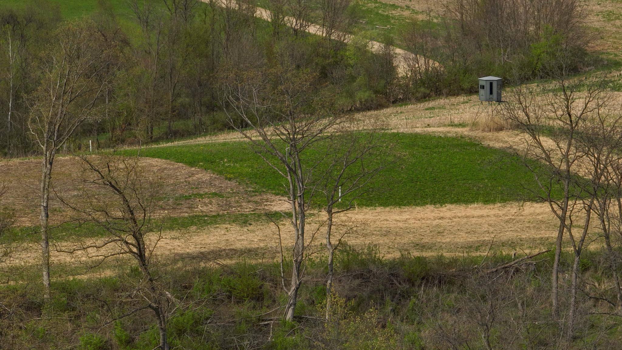 23958 Brown Ridge Road Boscobel, WI 53805 - Photo 45 of 90