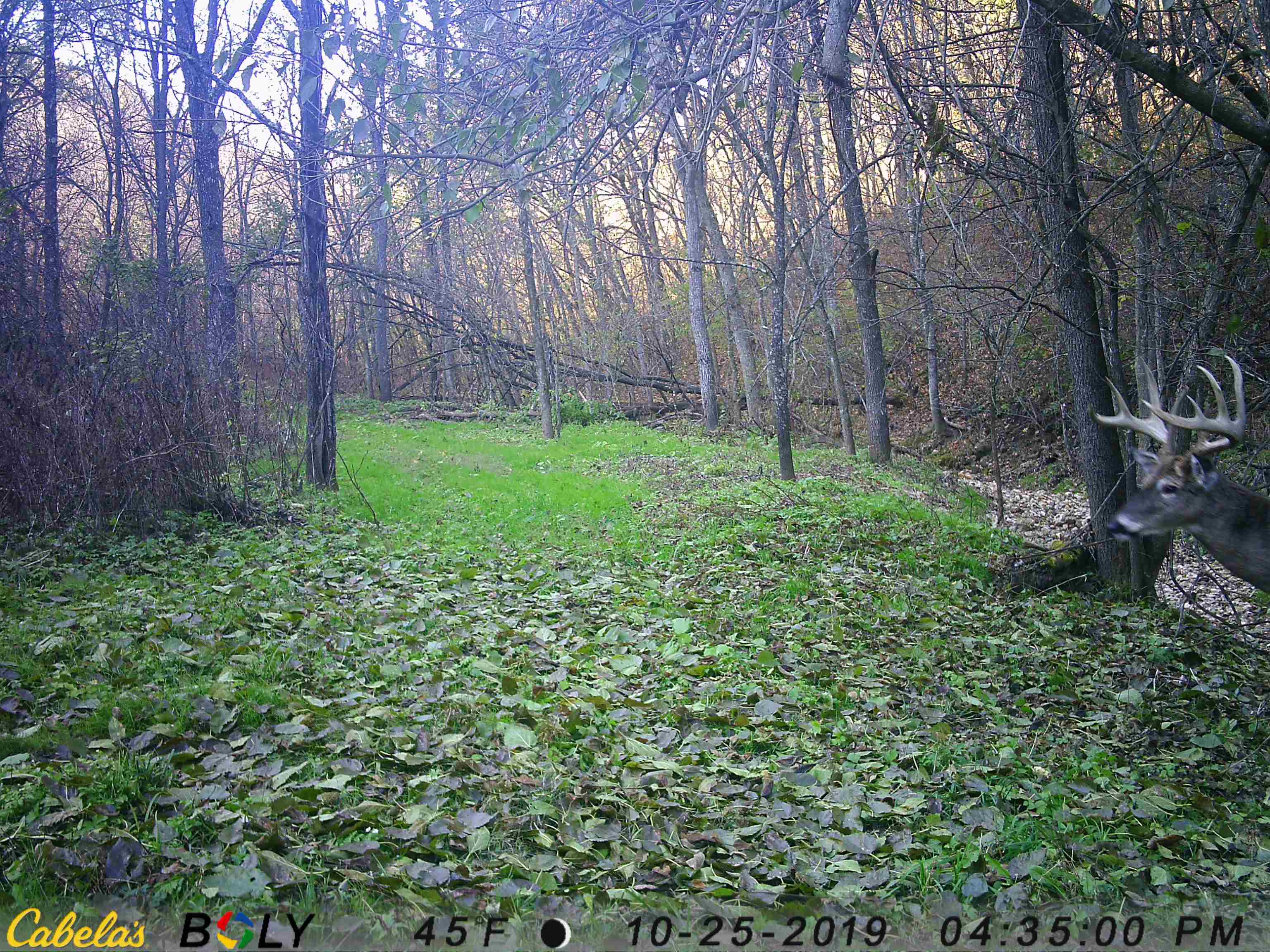 23958 Brown Ridge Road Boscobel, WI 53805 - Photo 70 of 90