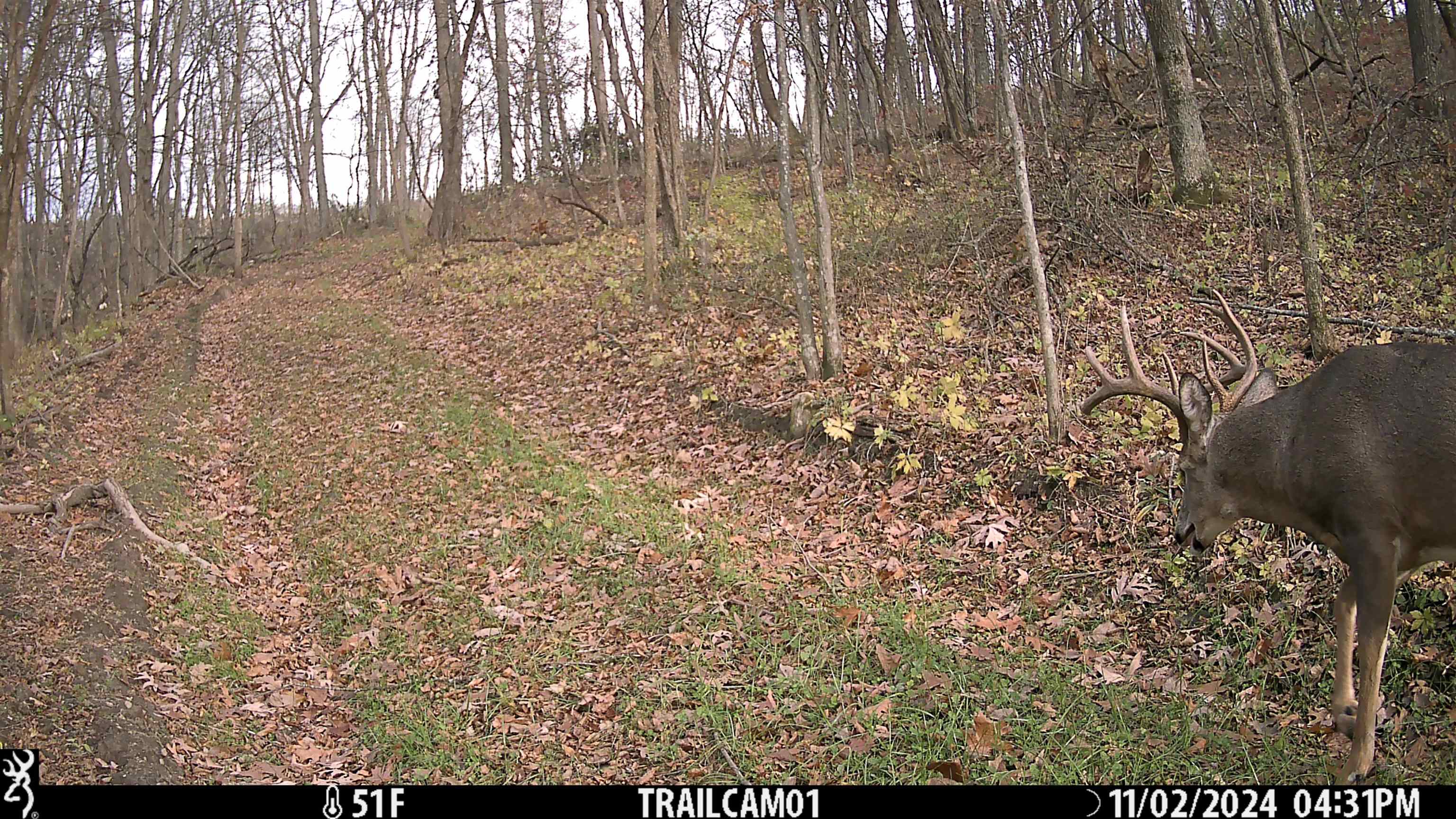 23958 Brown Ridge Road Boscobel, WI 53805 - Photo 83 of 90